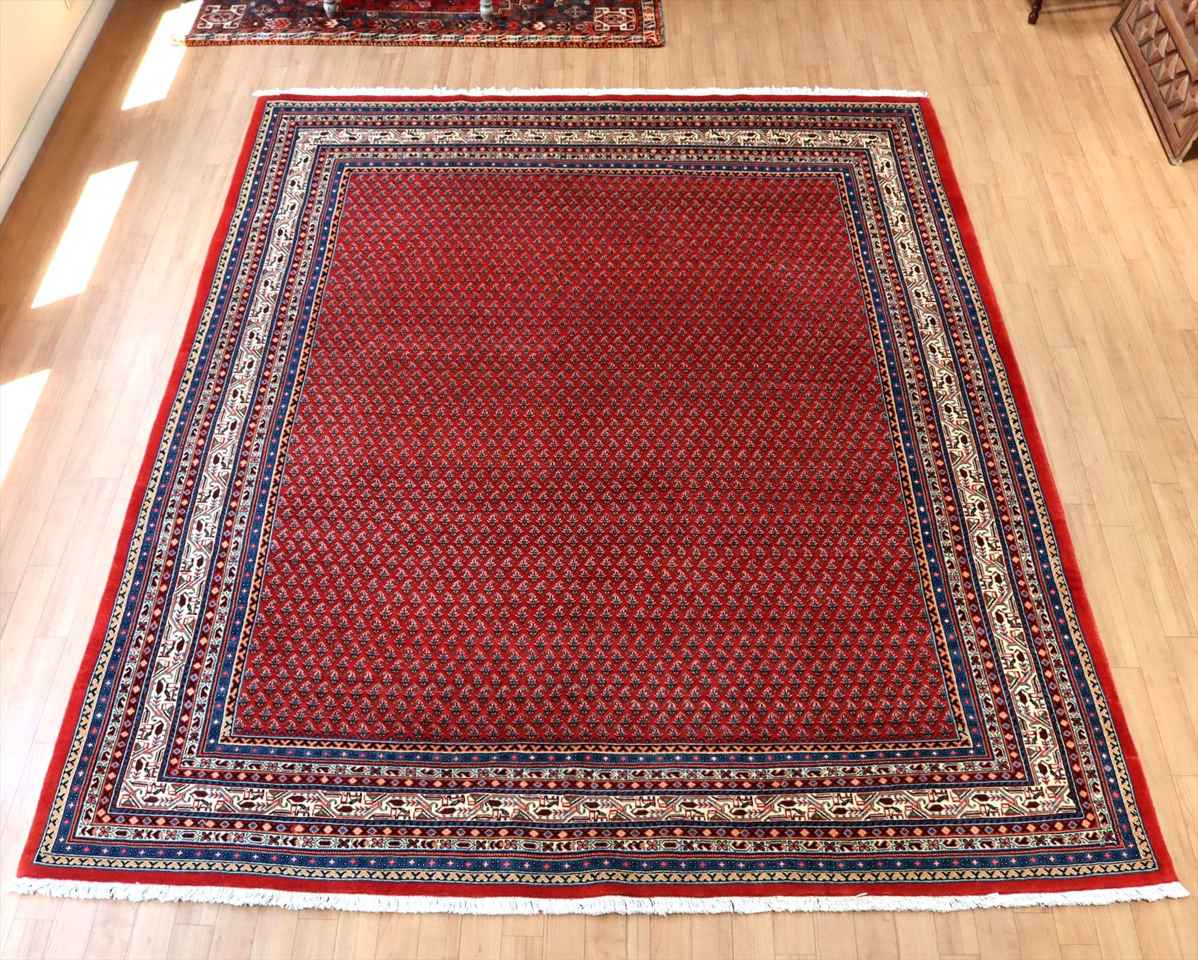 手織り絨毯 サルーク260×216cm ボテのモチーフ