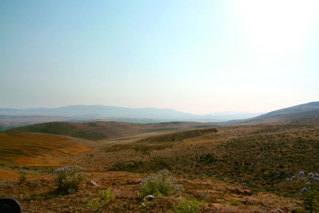 ザクロス山麓の荒野