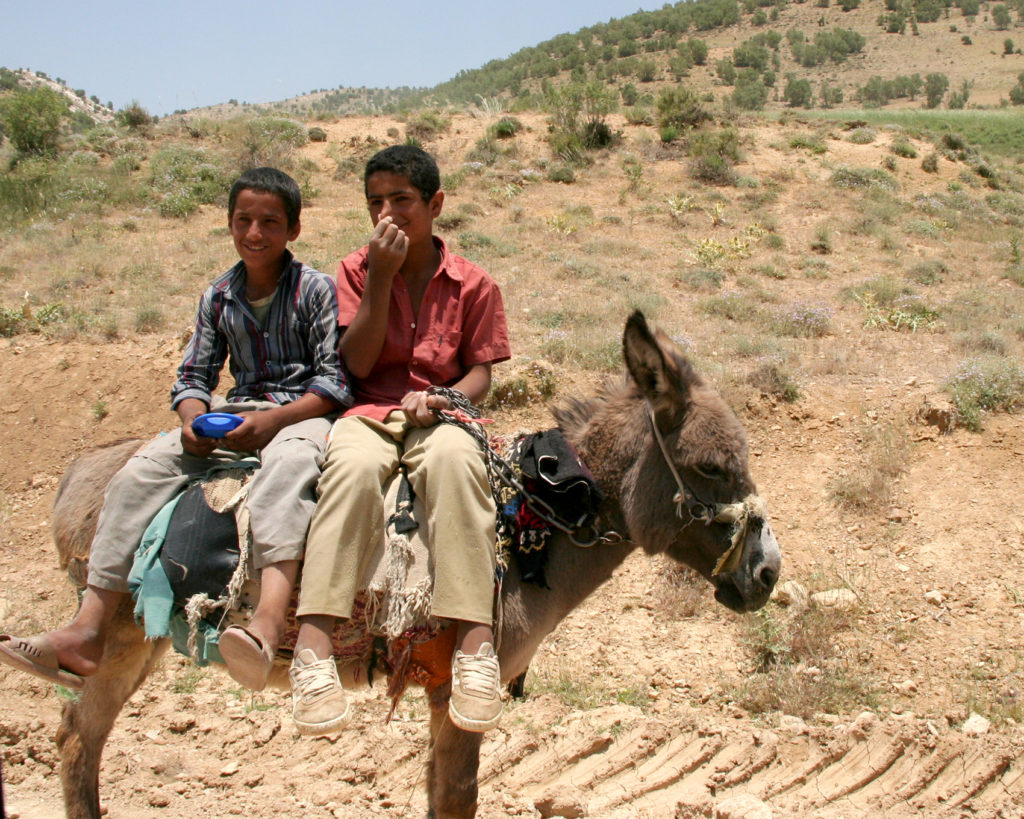 ロバにのるカシュカイ族の少年たち